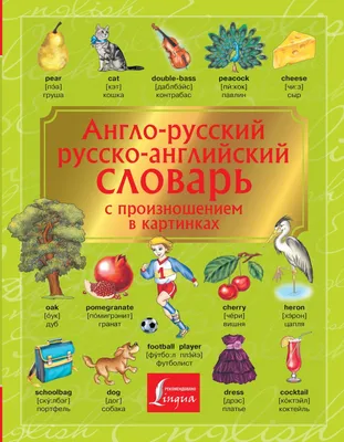 Русско английский словарь в картинках