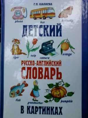 Иллюстрация 16 из 23 для Детский русско-английский словарь в картинках -  Галина Шалаева | Лабиринт - книги.