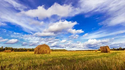 Фотография Бескрайнее русское поле - «Пейзажи родины моей!»  (№412673-18.10.2023 - 17:02)