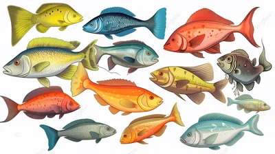 Тропических Рыб Под Водой — стоковые фотографии и другие картинки Рыба -  Рыба, Море, Косяк рыб - iStock
