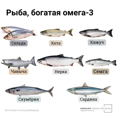 Рыбы в картинках. Наглядное пособие для педагогов, логопедов, воспитателей  и родителей. Гном. | Не указано - купить с доставкой по выгодным ценам в  интернет-магазине OZON (831015466)