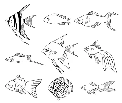 Рыбы. 12 развивающих карточек с красочными картинками, стихами Учитель  купить в Минске — OZ.by
