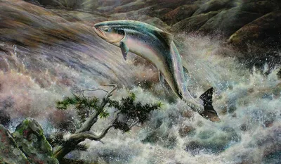 картинки : рыба, Золотая рыбка, Водное животное, боевые рыбы 4427x2767 - -  1077984 - красивые картинки - PxHere