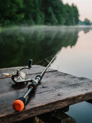 Рыбалка в Яхонты Ногинск - официальный сайт загородного отеля