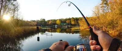 Платная рыбалка