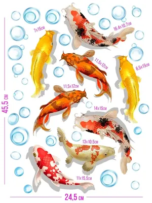 картинки рыбы для детей с названием скачать для распечатки