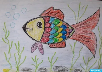 Картинки для детей рыбы для детского сада