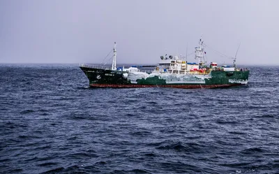 Рыболовное судно восток фото