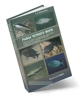 Часть 6. Обитатели черноморского зала - Севастопольский аквариум