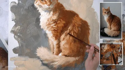 Рыжий кот :: Алексей Архипов – Социальная сеть ФотоКто