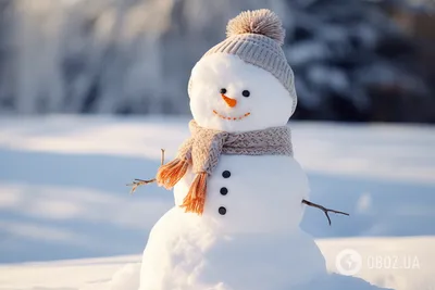 С первым днём зимы! ❄🎄 Пусть даже в холодный, зимний день на душе будет  тепло, а на лицах сияют морозные улыбки!… | Christmas bulbs, Christmas  mood, Holiday decor