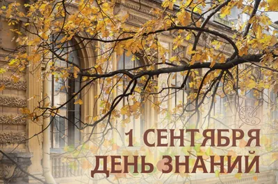 Прикольные поздравления с 1 сентября студентам - лучшие поздравления в  категории: Открытки Другие пожелания (7 фото, 2 видео) на ggexp.ru