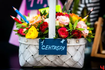 Какой букет цветов подарить учителю на 1-е сентября | Рекомендации от  флористов Семицветик
