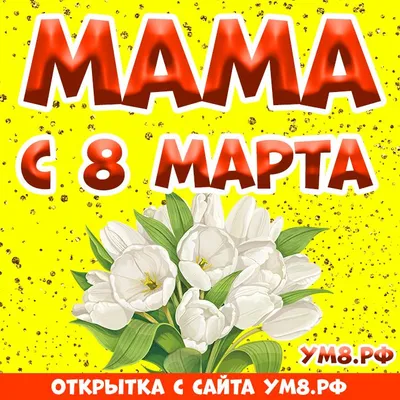 Цветы я буду только маме дарить»: костромич странно поступил с подругой 8  марта — Новости Костромы