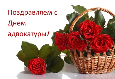 День адвокатуры - подборка поздравлений в прозе, стихах и картинках на  украинском - Lifestyle 24