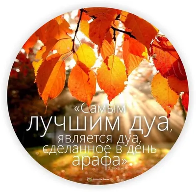 Аминова - 💫💫💫💫💫💫💫💫💫 #День Арафа#девятый день месяца... | Facebook
