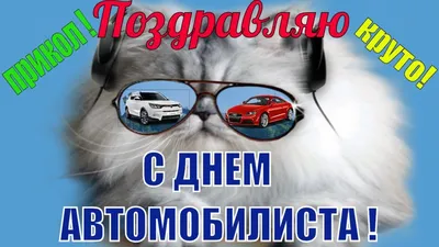 Картинка с днем автомобилиста девушки (скачать бесплатно)