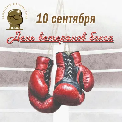 Международный день бокса отметят в Южно-Сахалинске 27 августа | СПОРТ | АиФ  Сахалин
