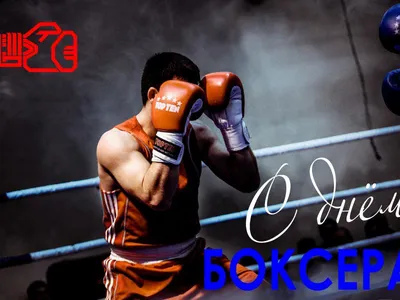 День бокса | Федерация бокса Тайшетского района