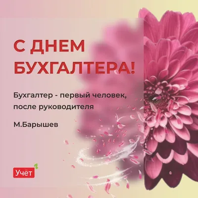 День главного бухгалтера — Уральские Пельмени | Календарь - YouTube