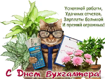 С Днем Бухгалтера Картинки Приколы фотографии