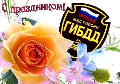 День ГИБДД России - ГБОУ ДПО МЦПС