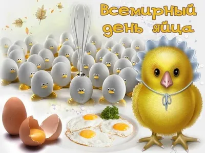 Всемирный день яйца 2021, Лискинский район — дата и место проведения,  программа мероприятия.