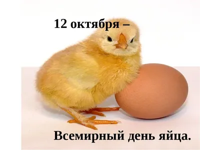 СЕГОДНЯ ВСЕМИРНЫЙ ДЕНЬ ЯЙЦА! 🥚 🎊 Да-да, есть и такой неофициальный  праздник, который Международная яичная.. | ВКонтакте