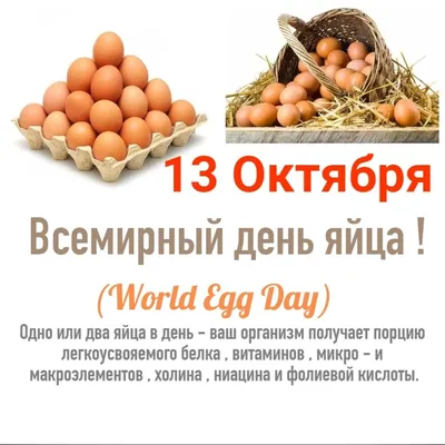 Празднуем день яйца: готовим глазунью с медом и мятный омлет - KP.RU