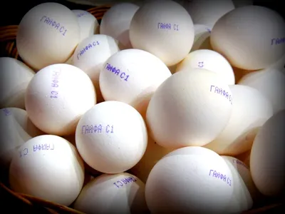 Не забываем! Скоро Всемирный день яйца!