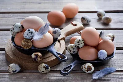 14 октября — Всемирный День яйца | 14.10.2022 | Волгодонск - БезФормата