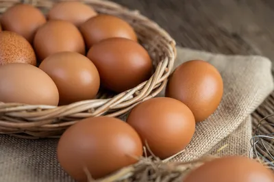 На подмосковной ферме отметят Всемирный день яйца