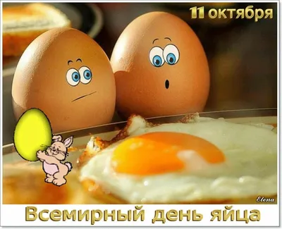 08 октября - Всемирный день яйца! 30+2 способа приготовить яйца | Кетоша.рф  | Дзен