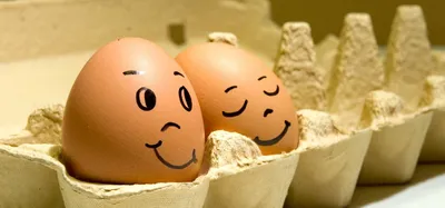 Всемирный день яйца отмечается 9 октября. Интересные факты о яйцах и  рецепты блюд — egg.org.kz