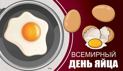 День яйца в Комсомольске-на-Амуре 12 октября 2019 в Питон