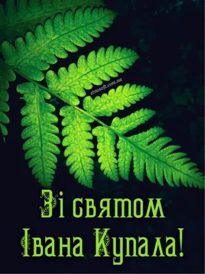 День Ивана Купала в 2023: история праздника, суть и традиции