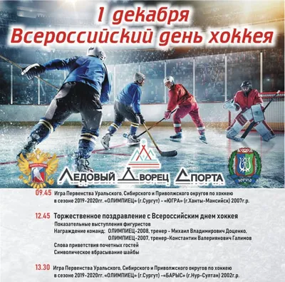 Академия хоккея им. В.В. Петрова