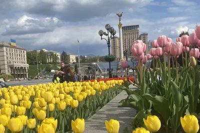 Столица несокрушимой Украины Киев сегодня отмечает свой 1540-й день  рождения – Рубрика