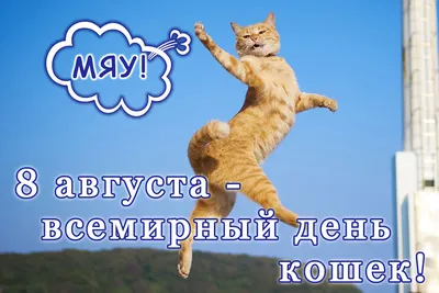 День кошек в России - Праздник