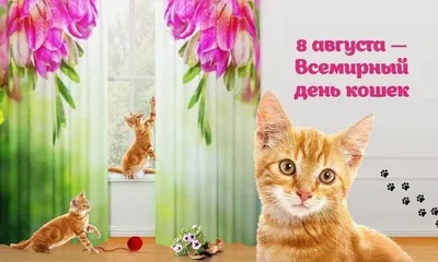 1 марта - Всемирный день кошек | ГБУЗ \"Самарский областной клинический  противотуберкулезный диспансер имени Н.В.Постникова\"