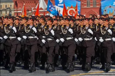Владимир Солодов поздравил камчатских военнослужащих с Днём морской пехоты