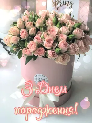 З днем народження | Birthday flowers bouquet, Happy birthday fun, Happy  birthday girls
