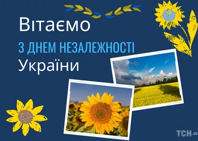 Красивые поздравления с Днем Независимости Украины 2019 - «ФАКТЫ»