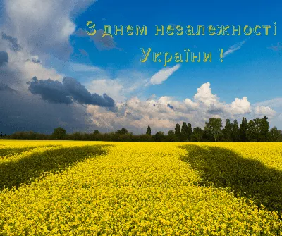 Головне державне свято – День Незалежності України! » Профспілка  працівників освіти і науки України