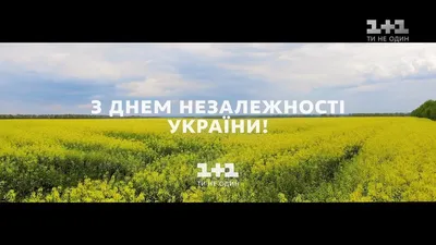Картинки с Днем Независимости Украины 2023: поздравления – Люкс ФМ