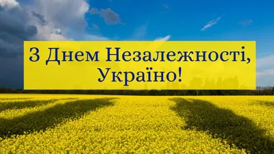 Лучшие поздравления с Днем Независимости в прозе и стихах для самых родных.  Читайте на UKR.NET