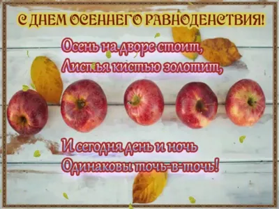 День и ночь сравнялись: сегодня День осеннего равноденствия » «Муравленко  24»