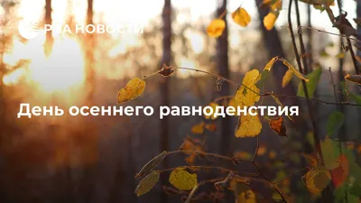 День осеннего равноденствия 2023: что это, какого числа будет, история,  традиции и приметы: Общество: Россия: Lenta.ru