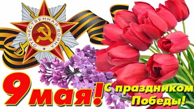Уважаемые коллеги, с Днем Победы!
