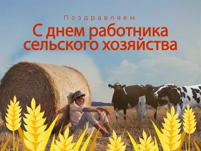 Поздравляем с Днем работника сельского хозяйства и перерабатывающей  промышленности! - ЕВРОСНАБ АГРО — Оптовый Агроцентр в Нижнем Новгороде